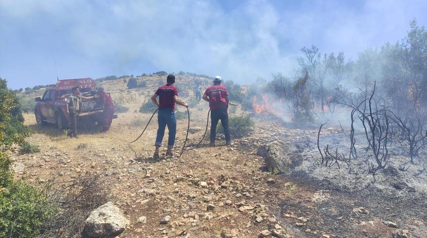 Kilis'te &ccedil;ıkan orman yangını s&ouml;nd&uuml;r&uuml;ld&uuml;