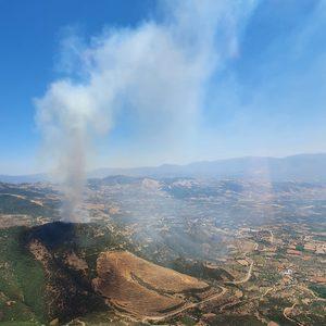 İzmir'in Ödemiş ilçesinde çıkan orman yangınına müdahale ediliyor