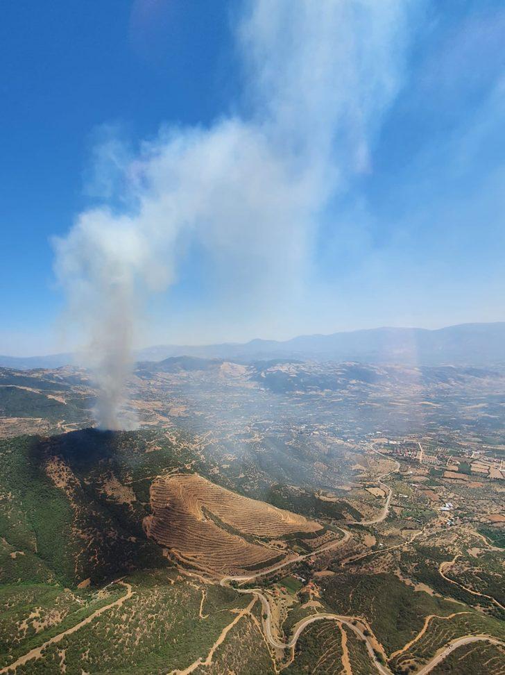 İzmir'in Ödemiş ilçesinde çıkan orman yangınına müdahale ediliyor