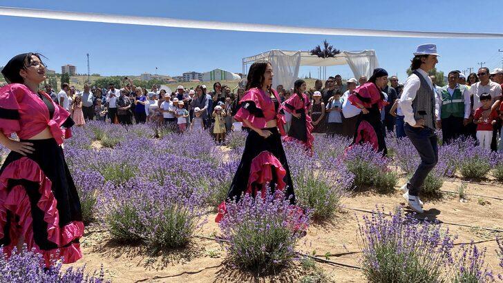 Kırşehir'de yetiştirilen lavantalar şölenle hasat edildi G4