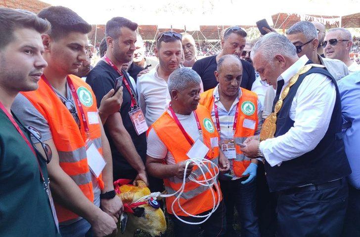 Kırkpınar'ın güreş ağalığını mevcut ağa Seyfettin Selim kazandı G3