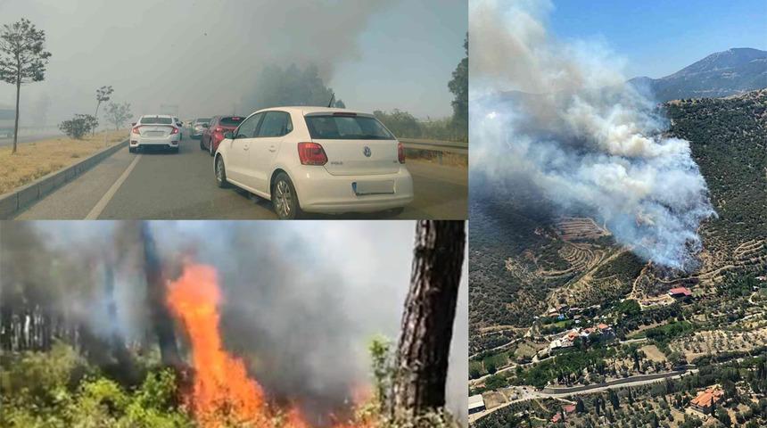 Kabus bitmiyor: 4 noktada yine yangın! Sebebi çekilen bu fotoğraf mı? Dehşete düşüren kare...