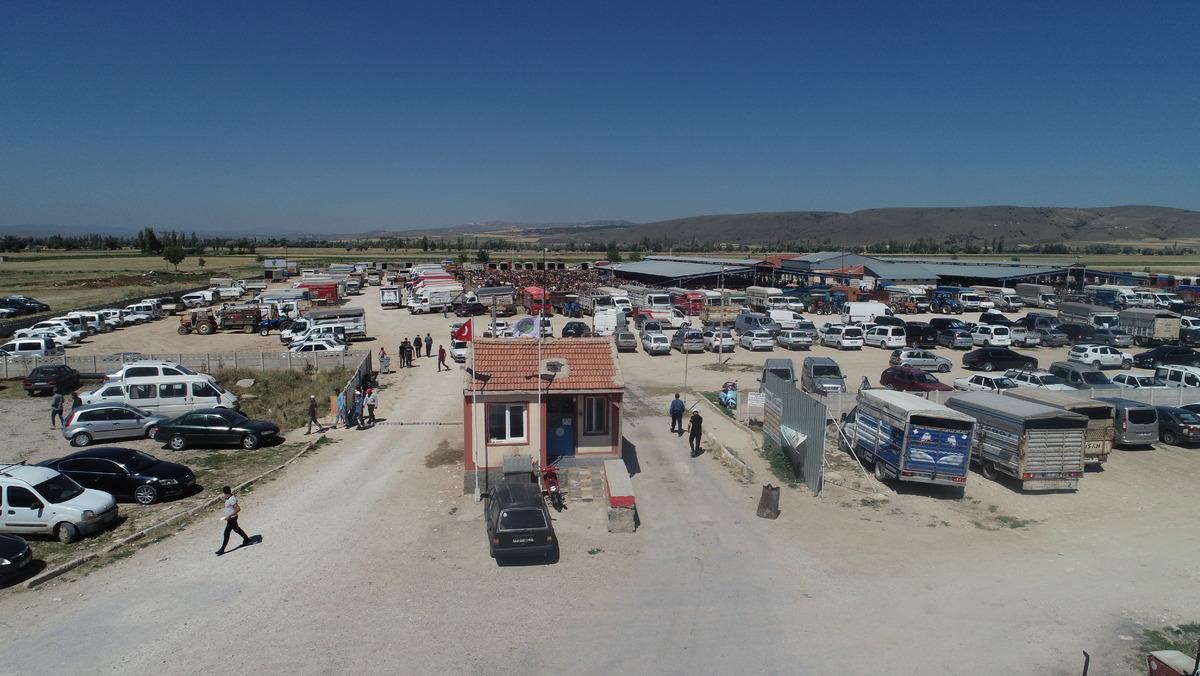 Afyonkarahisar'da hayvan pazarında kurban hareketliliği yaşanıyor