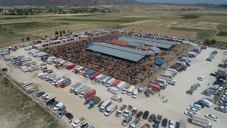 Afyonkarahisar'da hayvan pazarında kurban hareketliliği yaşanıyor G2