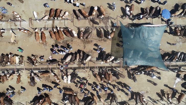 Afyonkarahisar'da hayvan pazarında kurban hareketliliği yaşanıyor G4