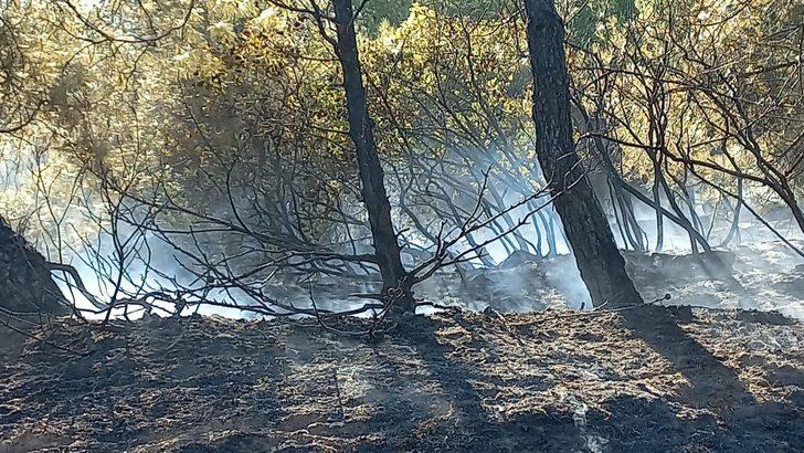 GÜNCELLEME - İzmir'in Ödemiş ilçesinde çıkan orman yangını kontrol altına alındı G4