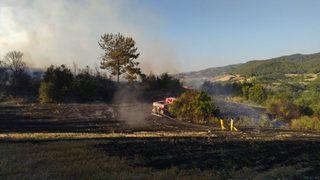 Osmaniye'de çıkan orman yangını kontrol altına alındı