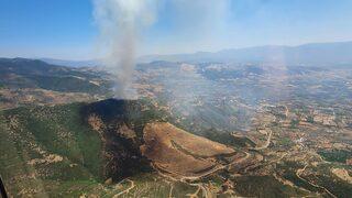 GÜNCELLEME - Çanakkale'deki orman yangını kontrol altına alındı