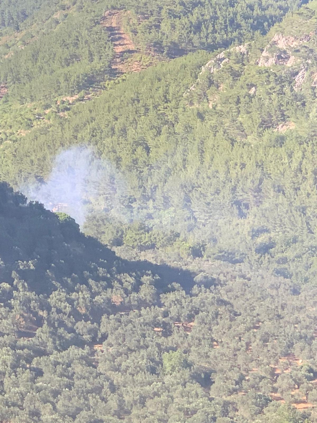 Kazdağı Milli Parkı yakınlarında &ccedil;ıkan zeytinlik yangını kontrol altına alındı