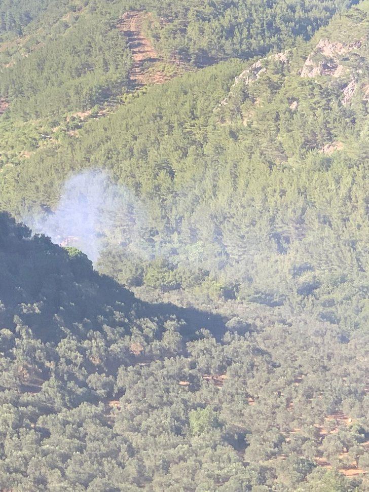 Kazdağı Milli Parkı yakınlarında çıkan zeytinlik yangını kontrol altına alındı G1