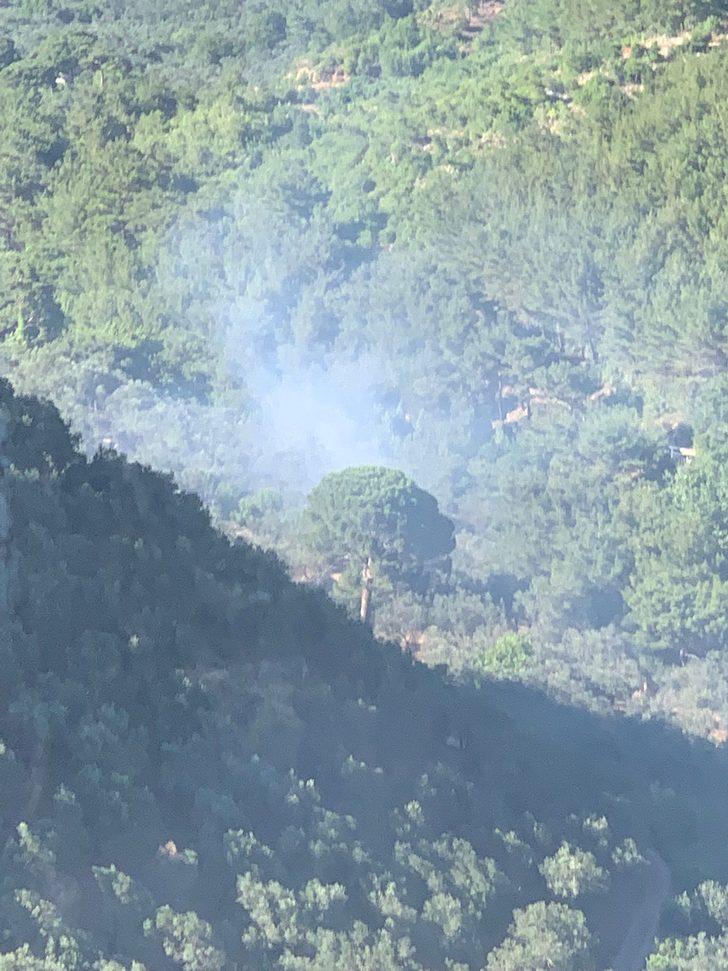 Kazdağı Milli Parkı yakınlarında çıkan zeytinlik yangını kontrol altına alındı G2