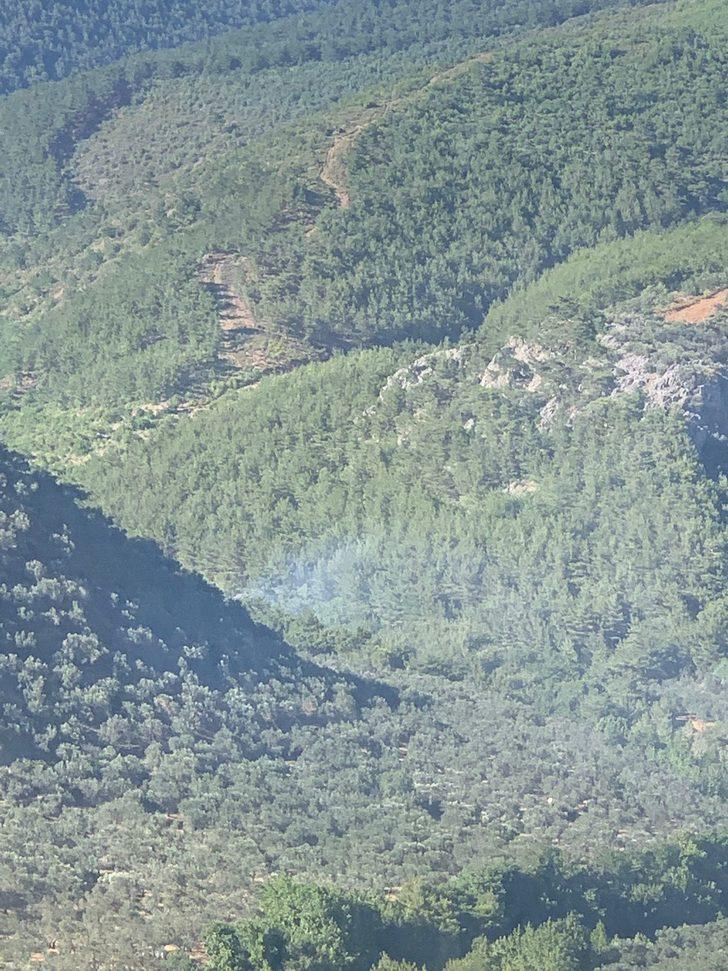 Kazdağı Milli Parkı yakınlarında çıkan zeytinlik yangını kontrol altına alındı G3