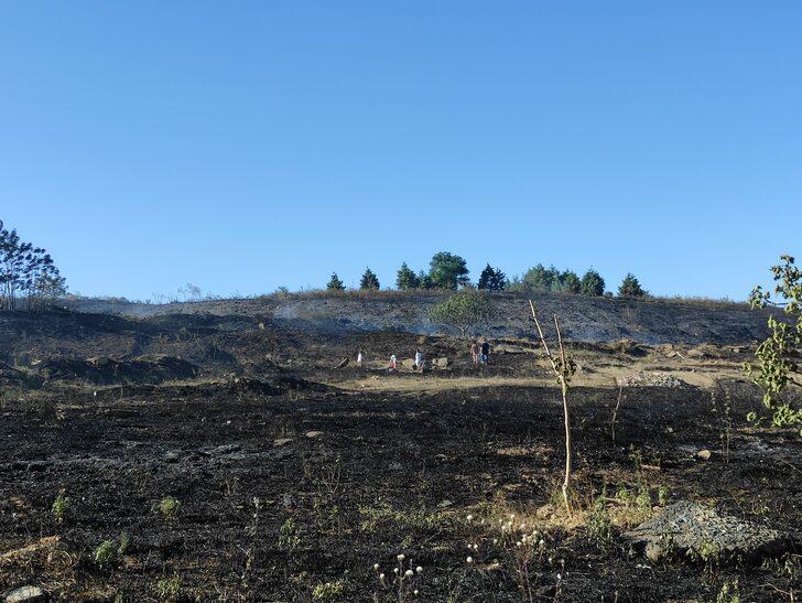 Silivri'de 5 farklı alanda çıkan yangın söndürüldü G4