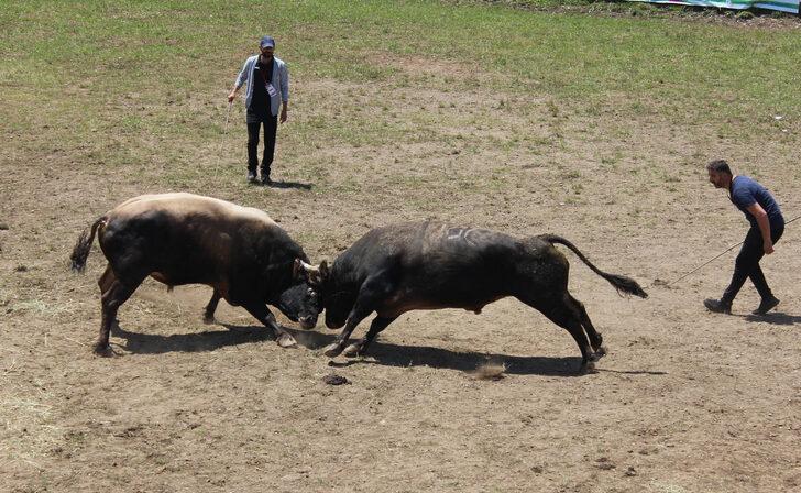 "41. Kafkasör Kültür, Turizm ve Sanat Festivali" sona erdi G5