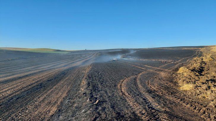 Tekirdağ'da bin dönüm tarım alanı yandı G1