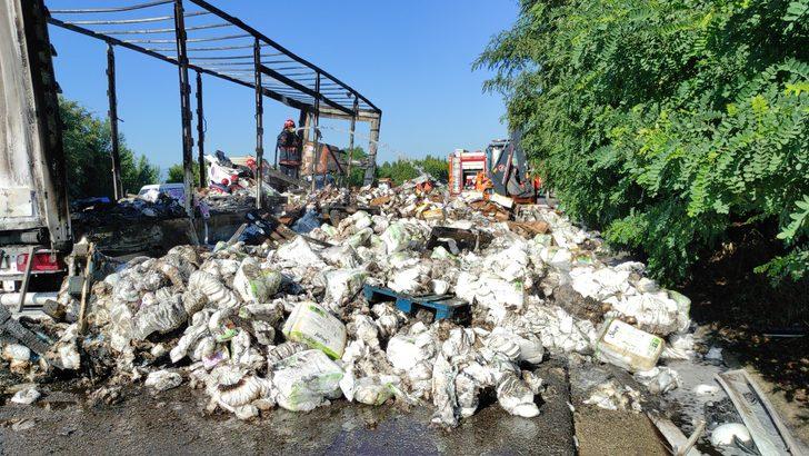 Anadolu Otoyolu'nda kazada alev alan tırın sürücüsü yaşamını yitirdi G3