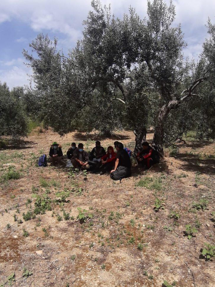 Çanakkale'de bir haftada 657 düzensiz göçmen yakalandı G2