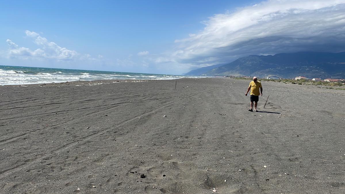 Deniz kaplumbağaları Doğu Akdeniz sahillerine yumurta bırakmaya başladı