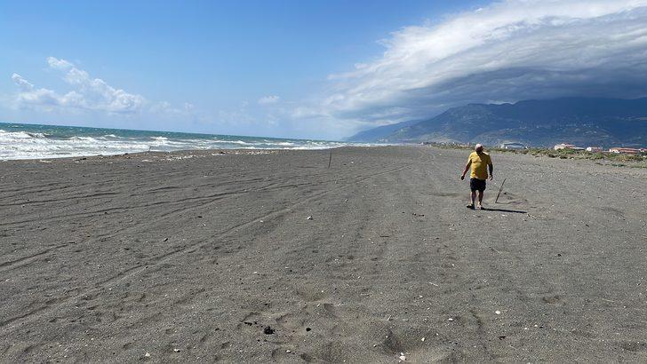 Deniz kaplumbağaları Doğu Akdeniz sahillerine yumurta bırakmaya başladı G1