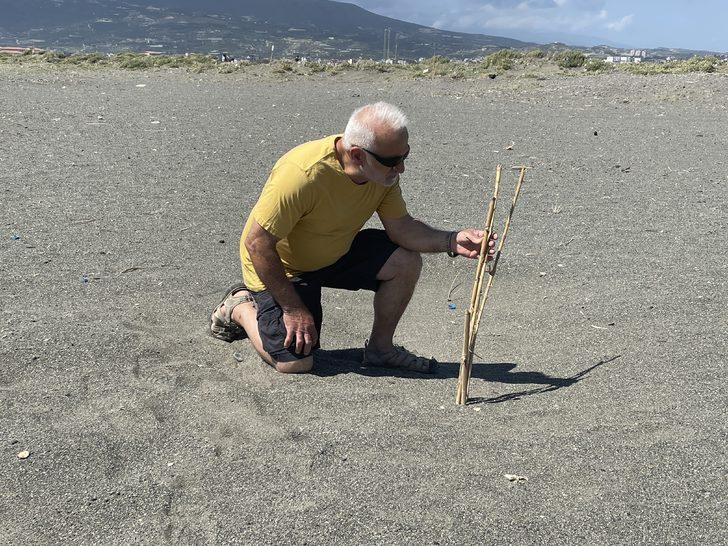Deniz kaplumbağaları Doğu Akdeniz sahillerine yumurta bırakmaya başladı G4