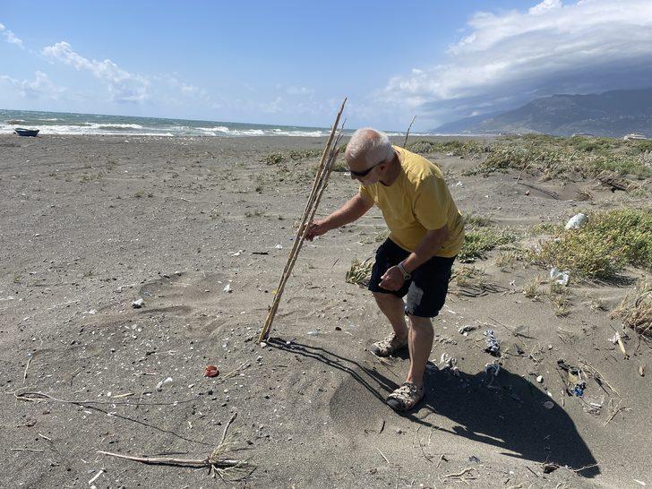 Deniz kaplumbağaları Doğu Akdeniz sahillerine yumurta bırakmaya başladı G5