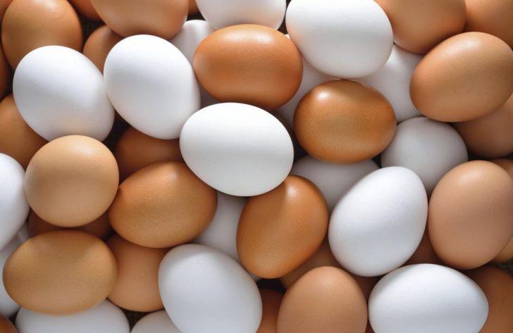 Bir yumurtanın kabuğu, toplam ağırlığının yüzde kaçına denk gelir? 