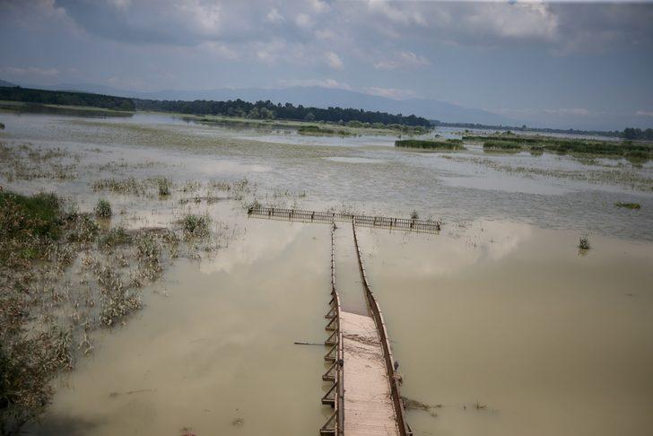 Selden etkilenen Düzce'de sular çekilmeye devam ediyor G2