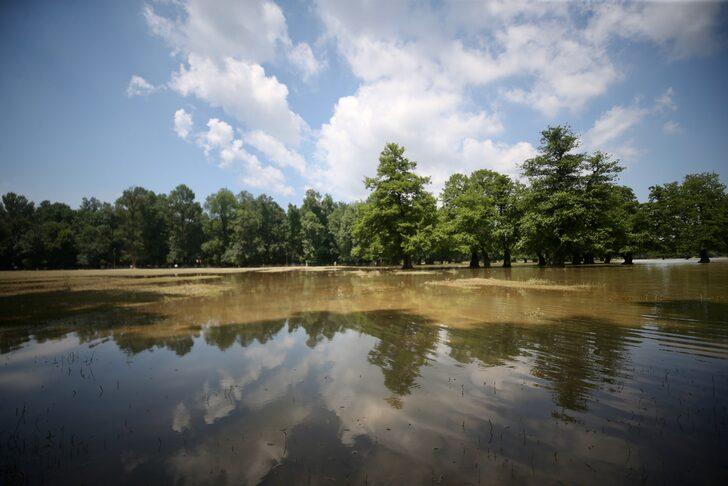 Selden etkilenen Düzce'de sular çekilmeye devam ediyor G4