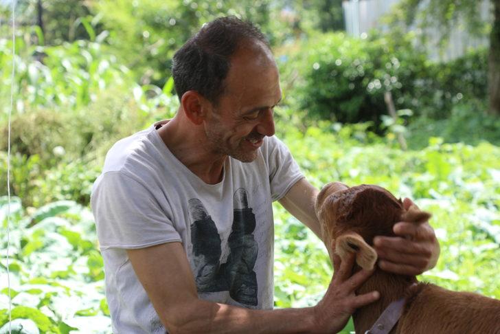 "Karamel" adını verdiği buzağıya evinde bebek gibi bakıyor G5