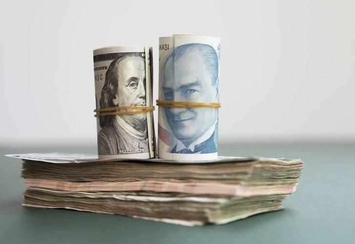 Döviz ve altını olanlar dikkat! Varlık Barışı'nda erken bildirime vergi teşviki geliyor