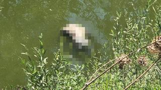 Çay bahçesinde oturanlar gördükleri manzara karşısında dehşete düştüler! Çok sayıda ekip sevk edildi