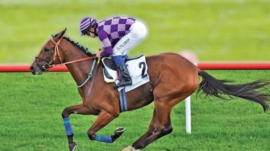 91. Gazi Koşusu tamamlandı: İşte Gazi Koşusunu kazanan tay ve kazanan jokey 