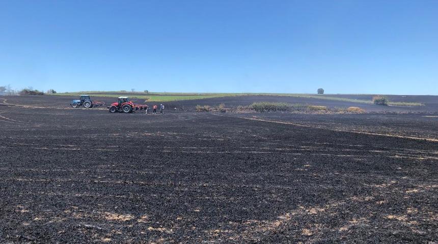 Tekirdağ'da 130 dönüm buğday ekili alan yandı