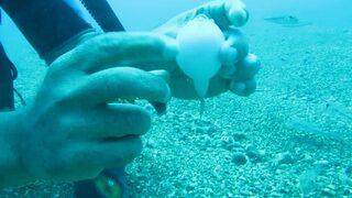 En küçük işgalci balığa 'şirinler' adını taktılar! Sıcaklık artınca çoğalmaya başladılar... 'Balıkçılar için kötü haber'