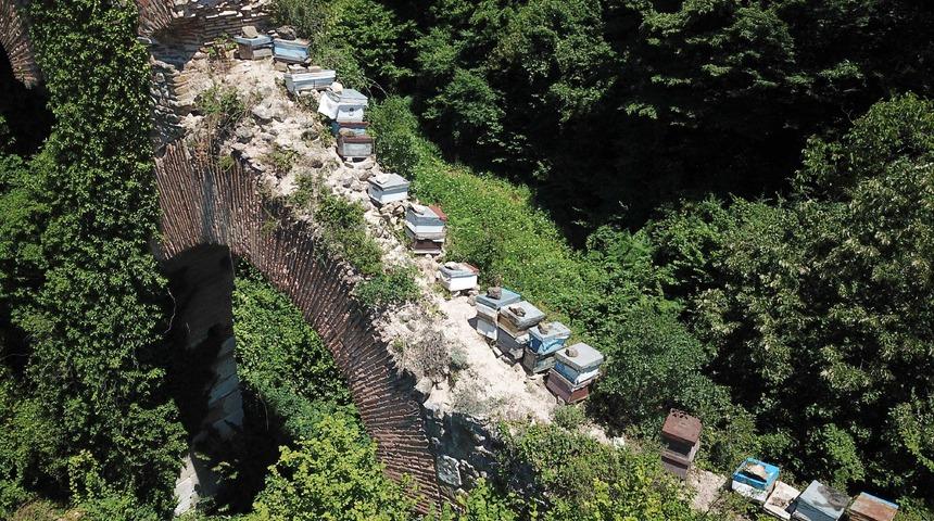 Tarihi su kemerine saygısızlık! Taşları söküp kovan dizdiler