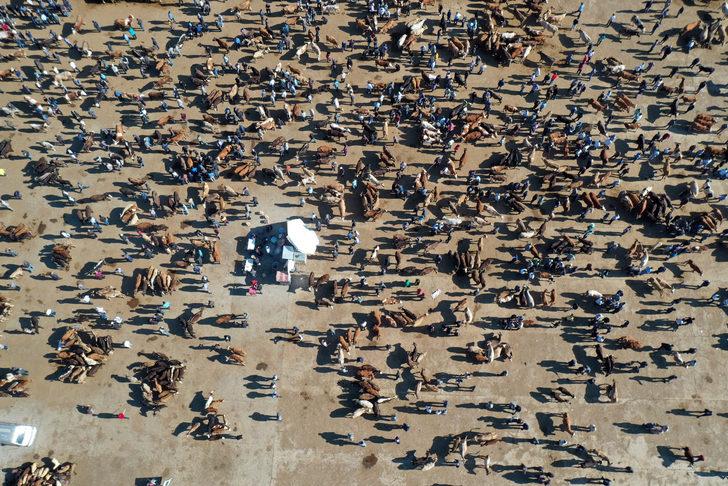 Batı illerine kurbanlıkların gönderildiği Ağrı Hayvan Pazarı'ndaki hareketlilik sürüyor G3