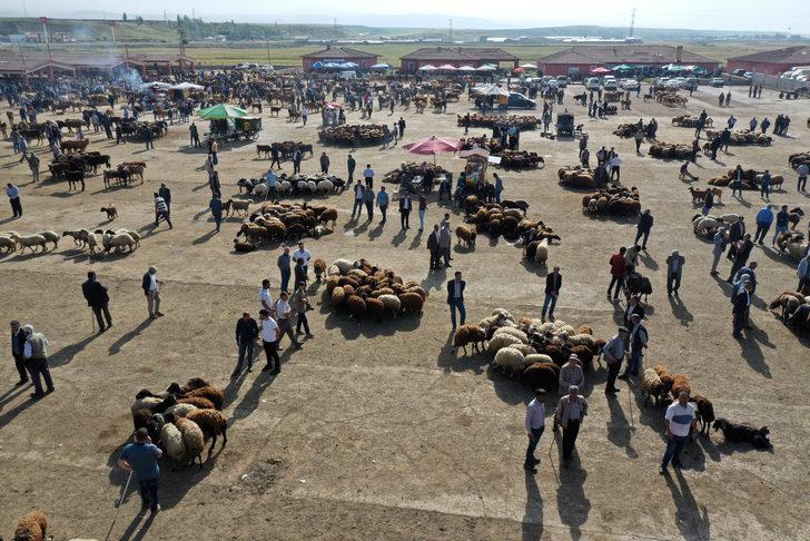Batı illerine kurbanlıkların gönderildiği Ağrı Hayvan Pazarı'ndaki hareketlilik sürüyor G5