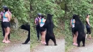 Genç kadın ayı saldırısından böyle kurtuldu! İzlerken kalbiniz yerinden çıkacak gibi olacak