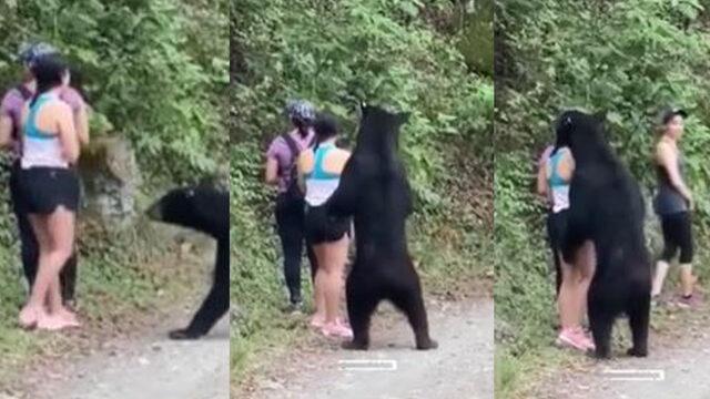 Genç kadın ayı saldırısından böyle kurtuldu! İzlerken kalbiniz yerinden çıkacak gibi olacak