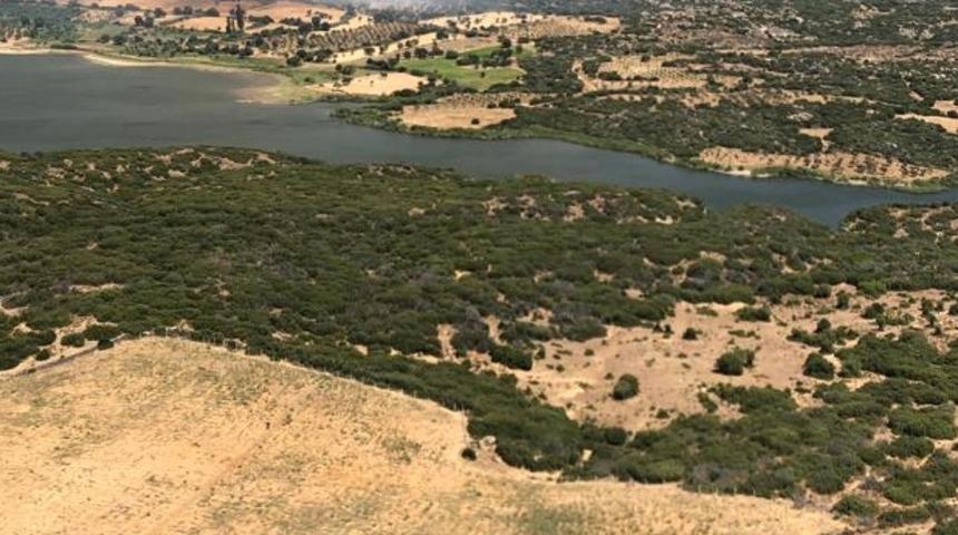 Çanakkale'de ormanlık alanda çıkan yangına müdahale ediliyor