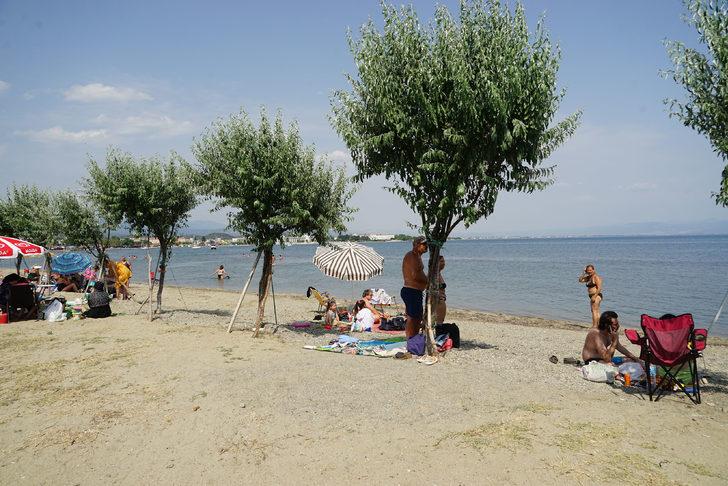 Emekli gurbetçi Güre sahiline diktiği iğde ağaçlarıyla her gün ilgileniyor G3