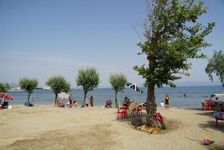 Emekli gurbetçi Güre sahiline diktiği iğde ağaçlarıyla her gün ilgileniyor G5