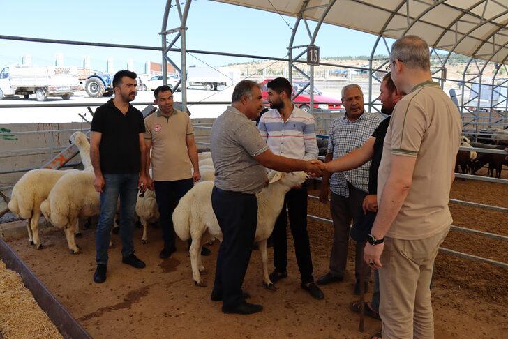Kilis'teki hayvan pazarında denetim yapıldı G3