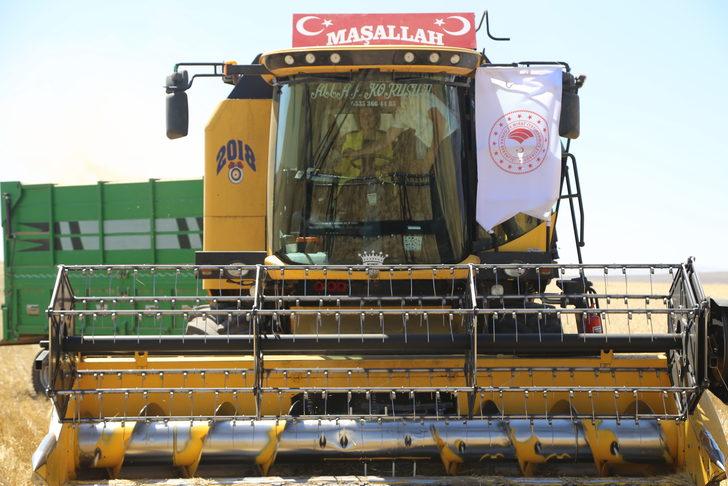 Nevşehir Valisi İnci Sezer Becel, hasat etkinliğinde biçerdöver kullandı G1