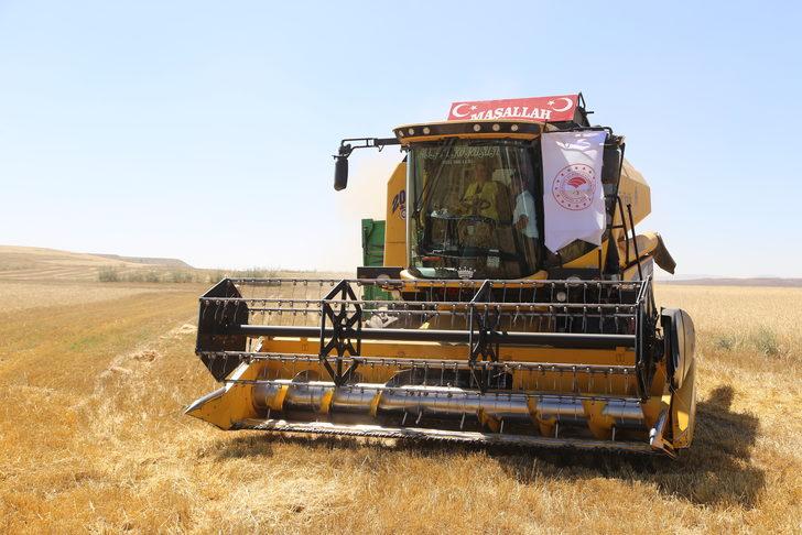 Nevşehir Valisi İnci Sezer Becel, hasat etkinliğinde biçerdöver kullandı G2