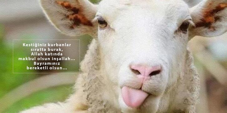 2022 bayram mesajları! En yeni, resimli Kurban Bayramı mesajları ve sözleri, en güzel bayram mesajları! G1