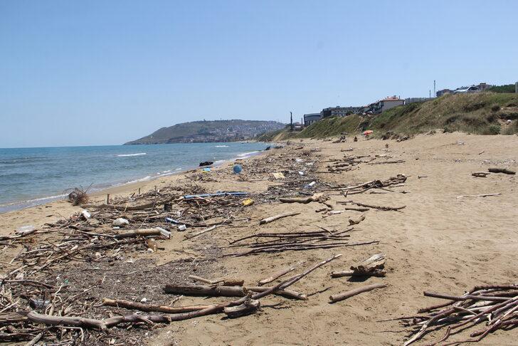 Selden etkilenen Sinop'ta sahillerin bir bölümü çöp ve ağaç parçalarıyla doldu G2