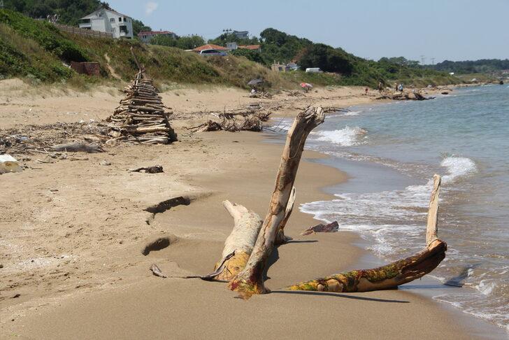 Selden etkilenen Sinop'ta sahillerin bir bölümü çöp ve ağaç parçalarıyla doldu G3