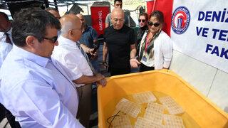 ÇOMÜ'de yetiştirilen 300 yavru ıstakoz Dardanel iş birliğiyle denizle buluştu
