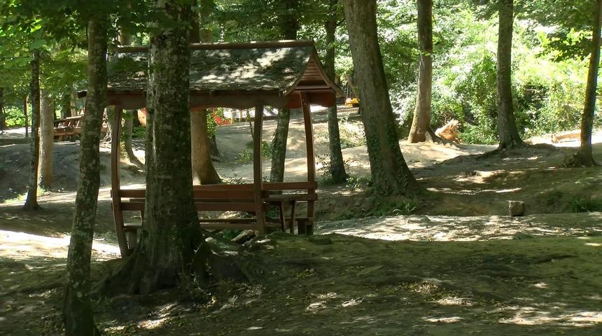 İstanbullular dikkat! Ormanlarda ateş yakma yasağı bugün başladı